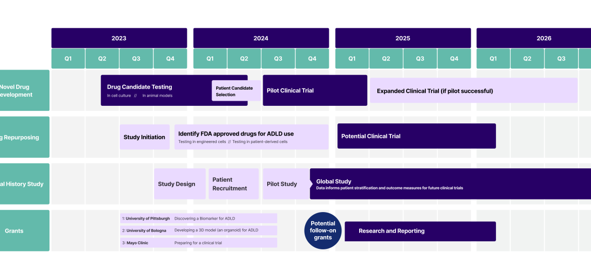 ADLD Center Research Roadmap